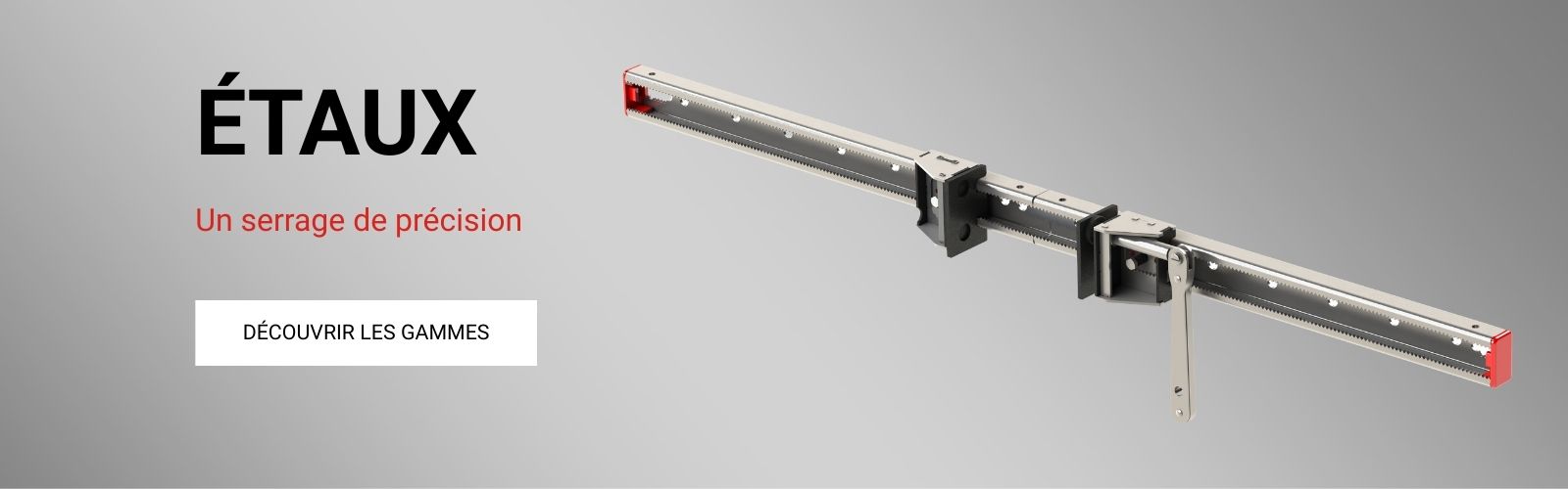 Etaux pour établi extensibles à l'infini Etaux pour établi extensibles à l'infini